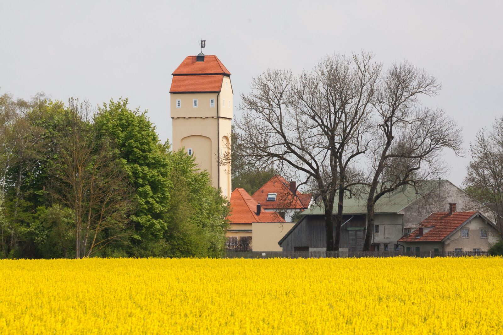 Canon EOS 50D sample photo. Water tower, oilseed rape photography