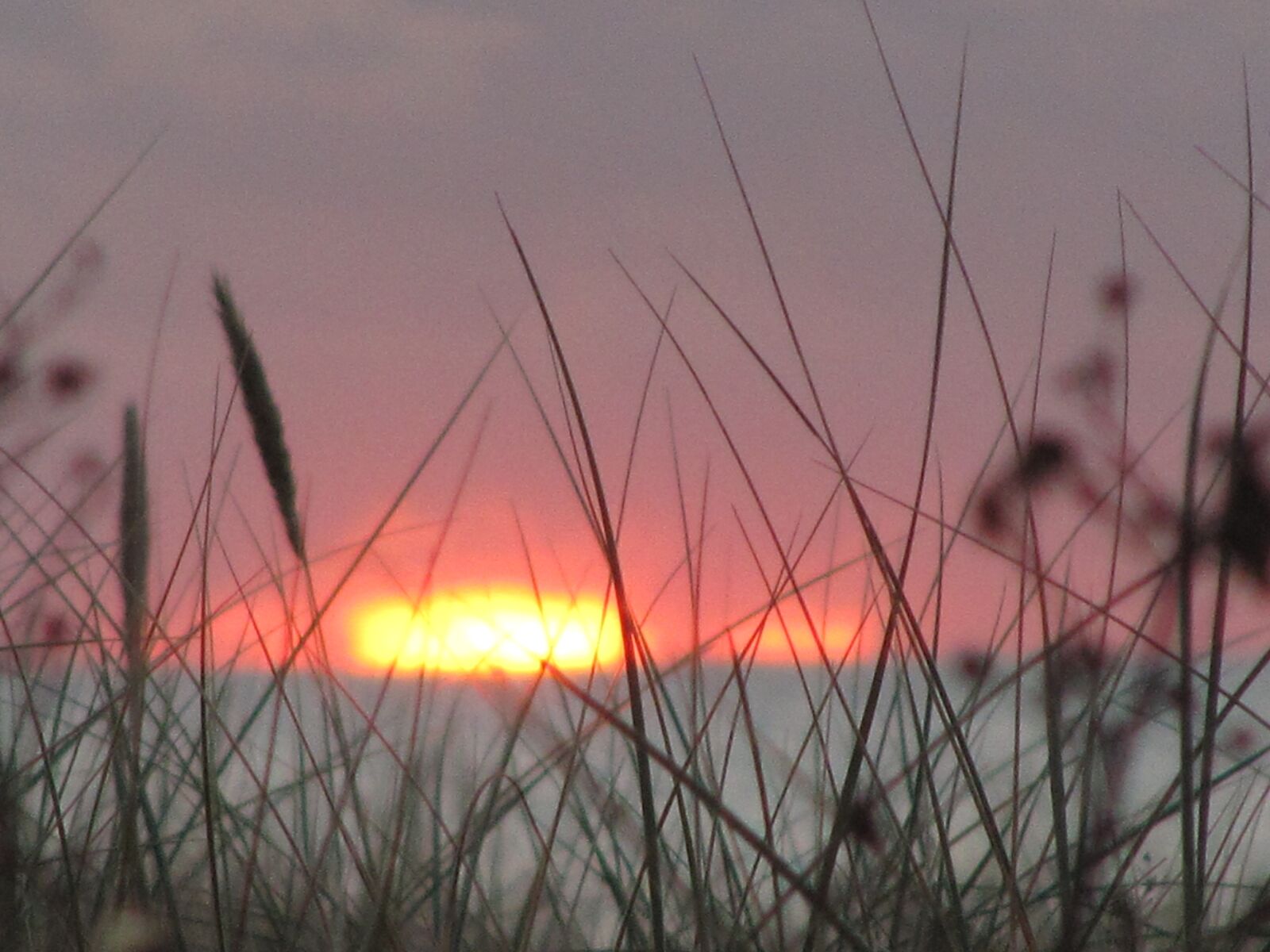 Canon PowerShot SX200 IS sample photo. Nature, sunset, evening photography