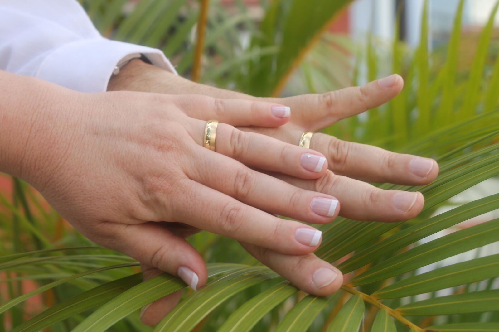 Canon EOS 1100D (EOS Rebel T3 / EOS Kiss X50) sample photo. Hands, marriage, grooms photography