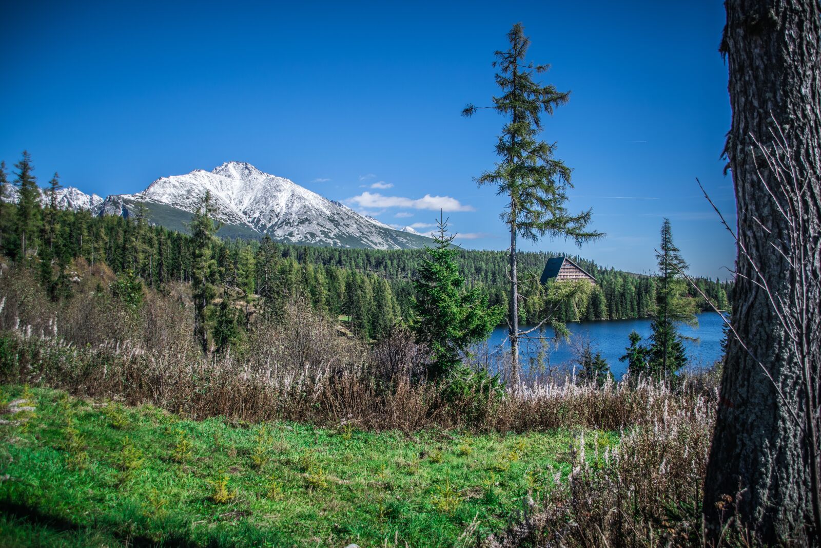Nikon D5300 sample photo. Lake, pleso, nature photography