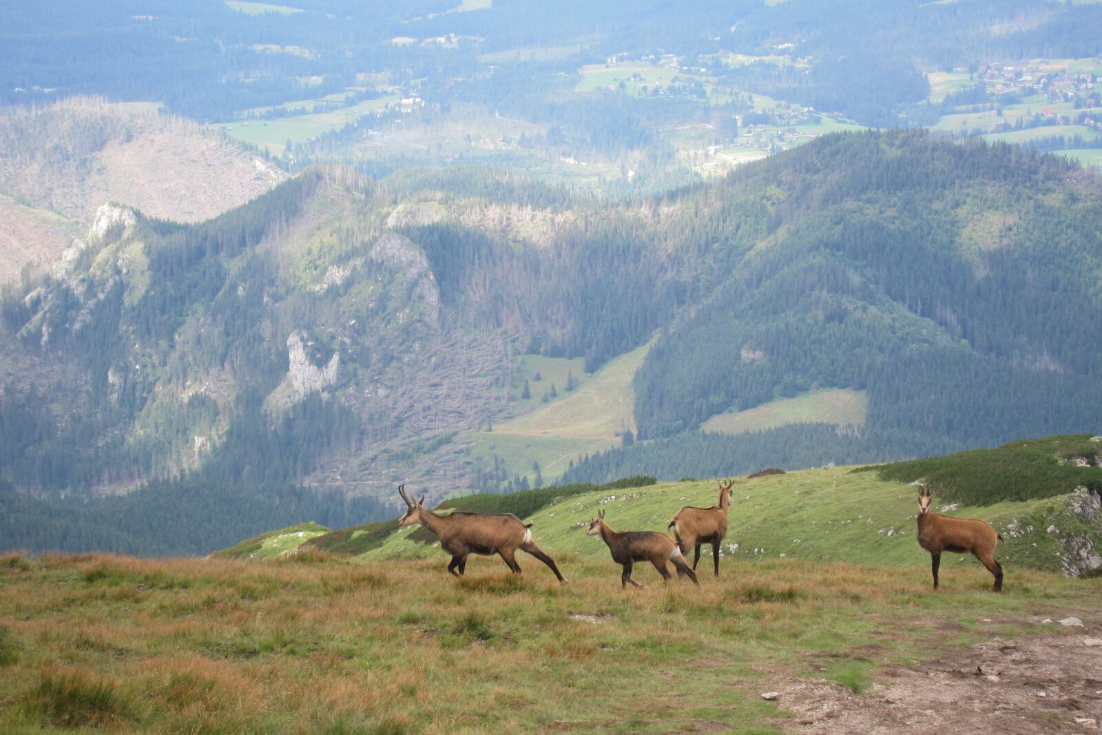 Canon PowerShot S95 sample photo. Tatry, poland, landscape photography