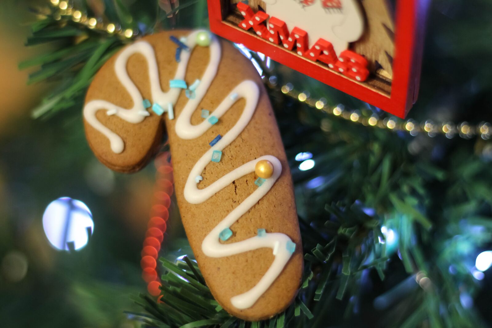 Canon EOS 1200D (EOS Rebel T5 / EOS Kiss X70 / EOS Hi) + Canon EF 50mm F1.8 STM sample photo. Cookies, ginger, christmas photography