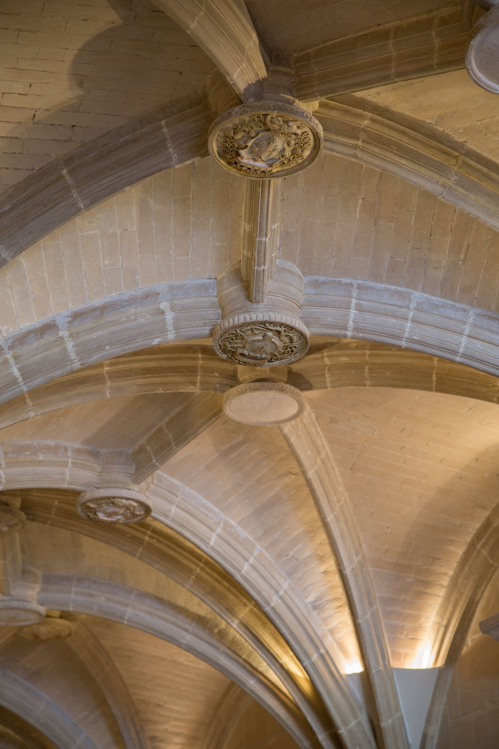 Canon EOS 6D sample photo. Castle, loire valley, ch photography