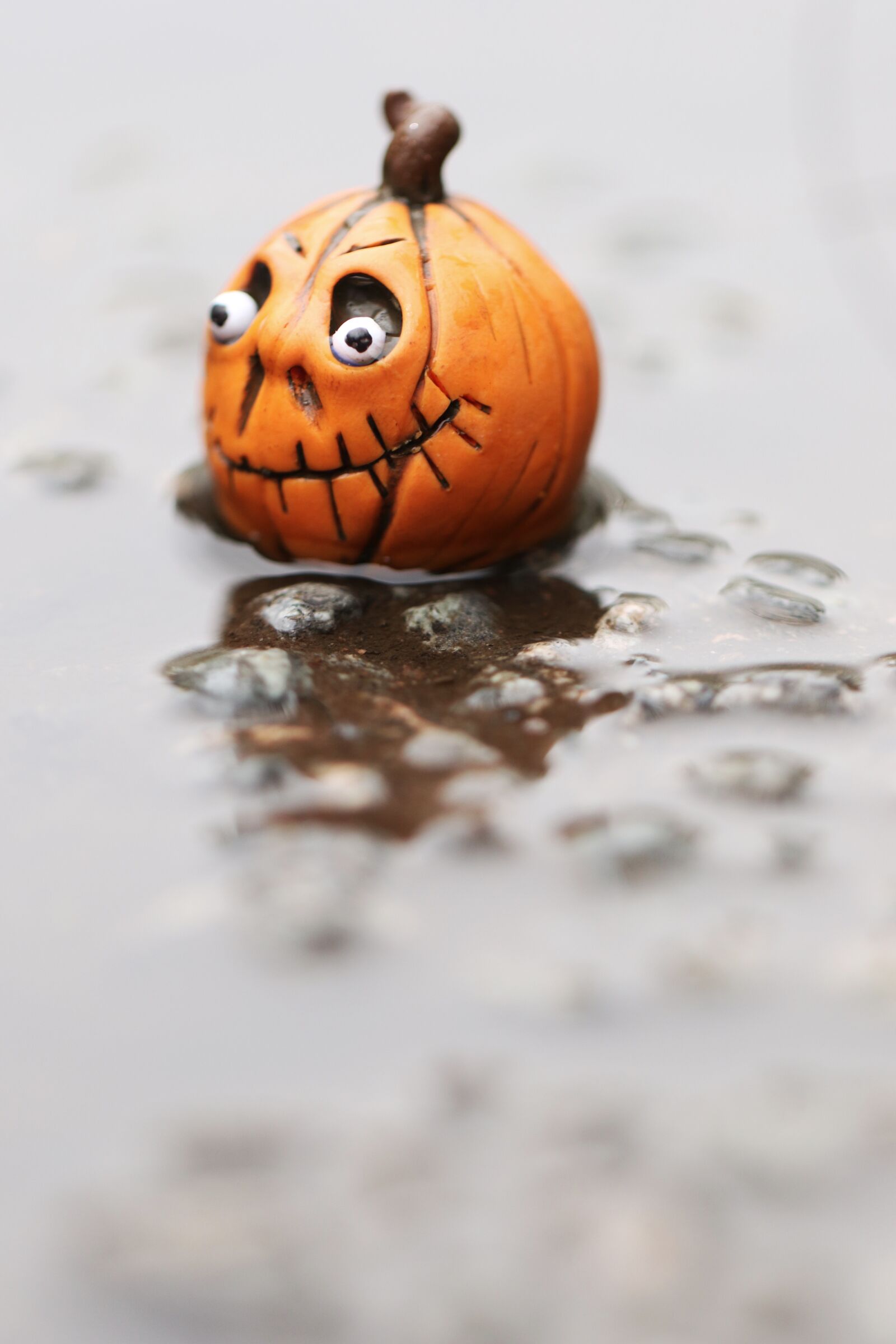 Canon EOS 7D Mark II sample photo. Miniature, figure, pumpkin photography