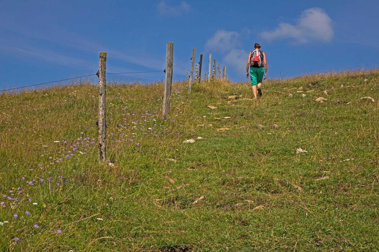 24-200mm F2.8 sample photo. Hiking, jurassic pasture, pasture photography