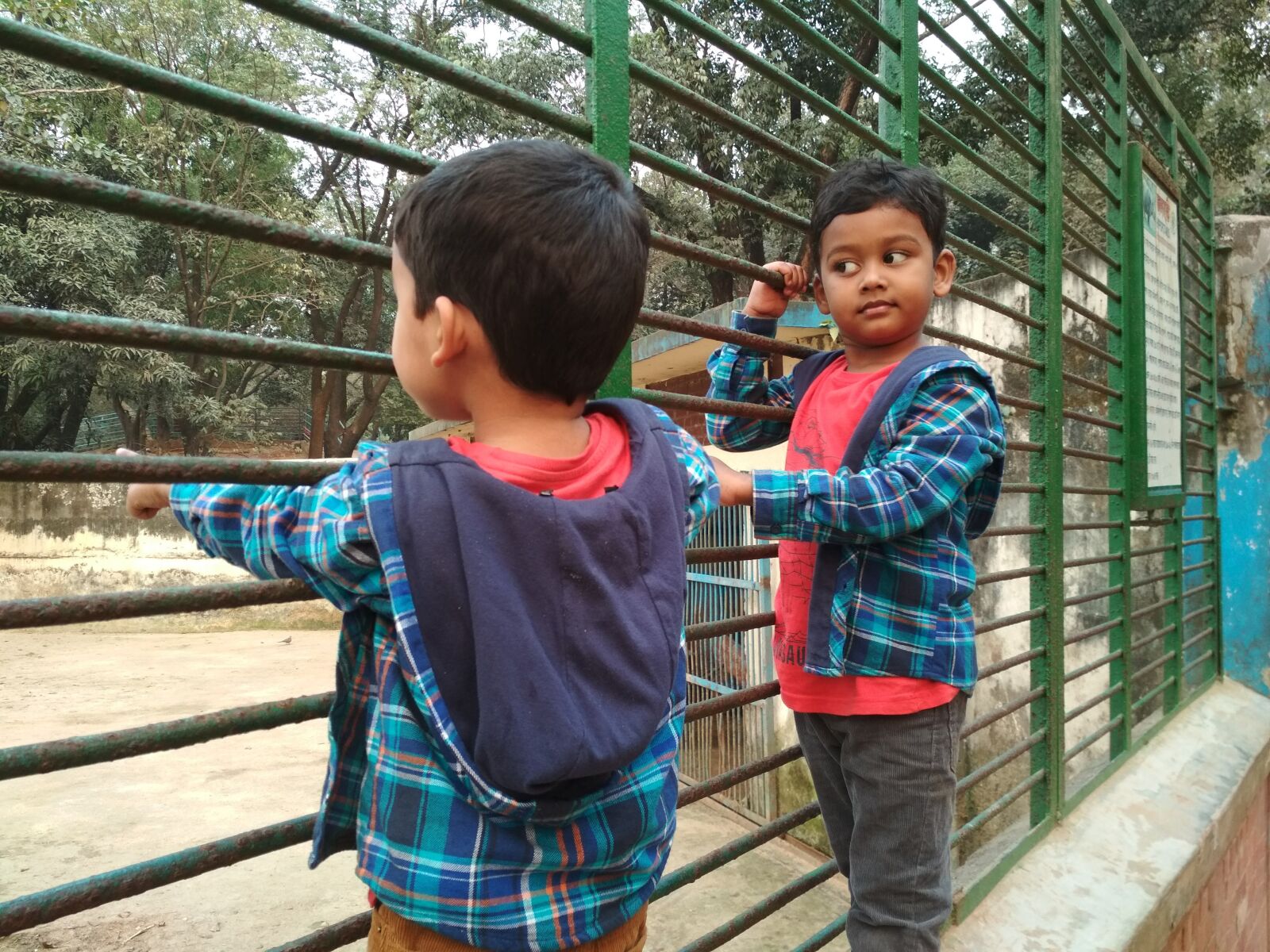 Xiaomi Redmi 4X sample photo. Zoo, jungle, cute photography