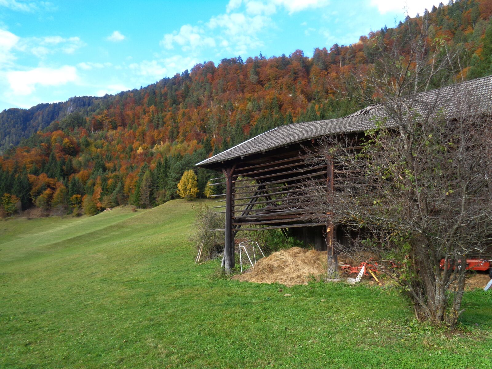 Sony Cyber-shot DSC-W830 sample photo. Autumn, nature, golden autumn photography