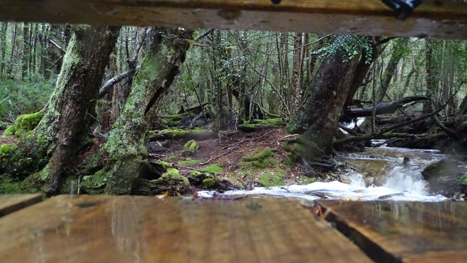 Sony Cyber-shot DSC-HX350 sample photo. Tasmania, timber, deck photography