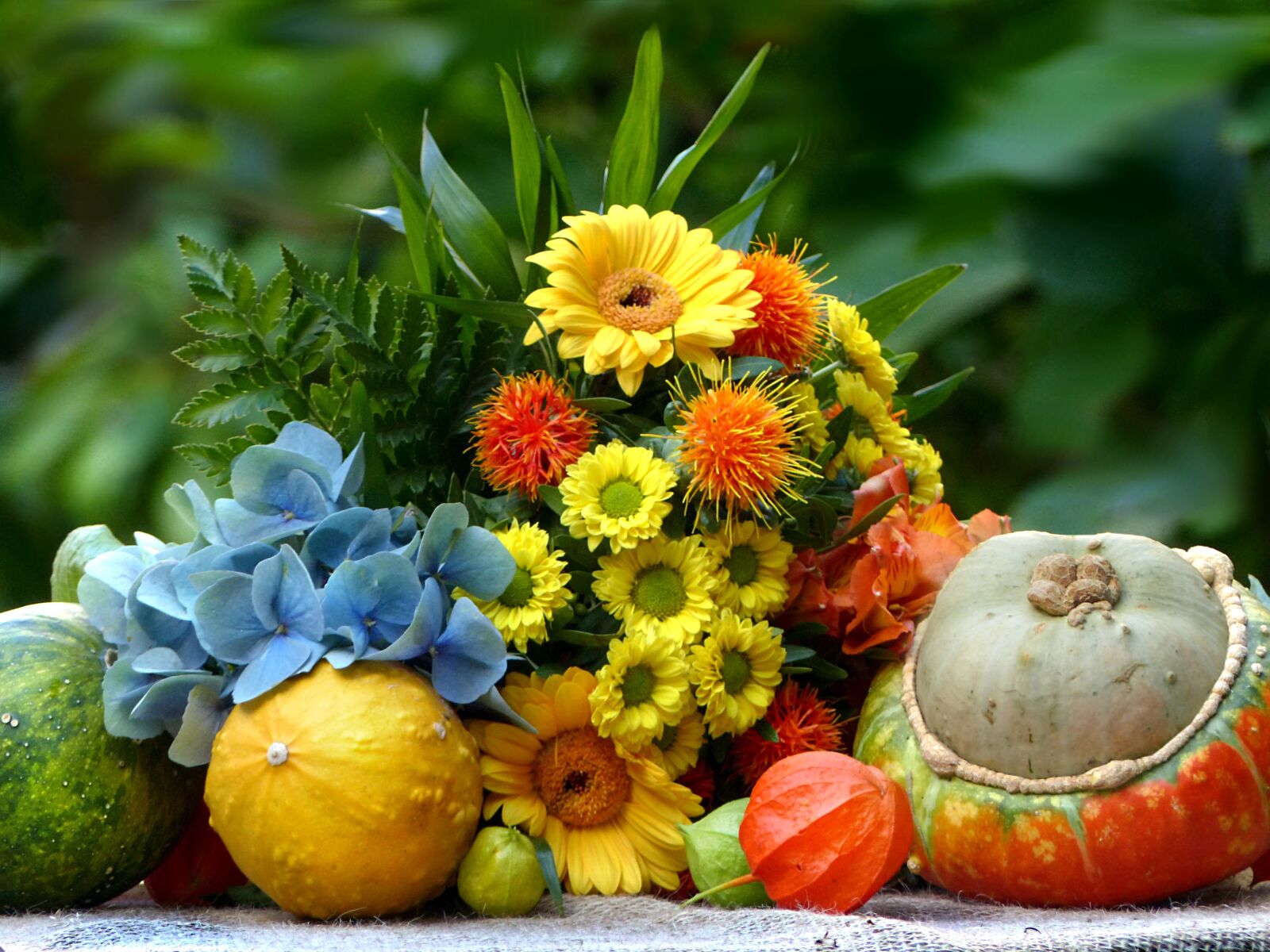 Panasonic Lumix DMC-FZ200 sample photo. Still life, bouquet, colorful photography