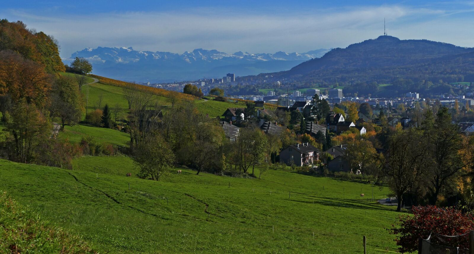 Panasonic Lumix DMC-FZ1000 sample photo. Landscape, nature, switzerland photography