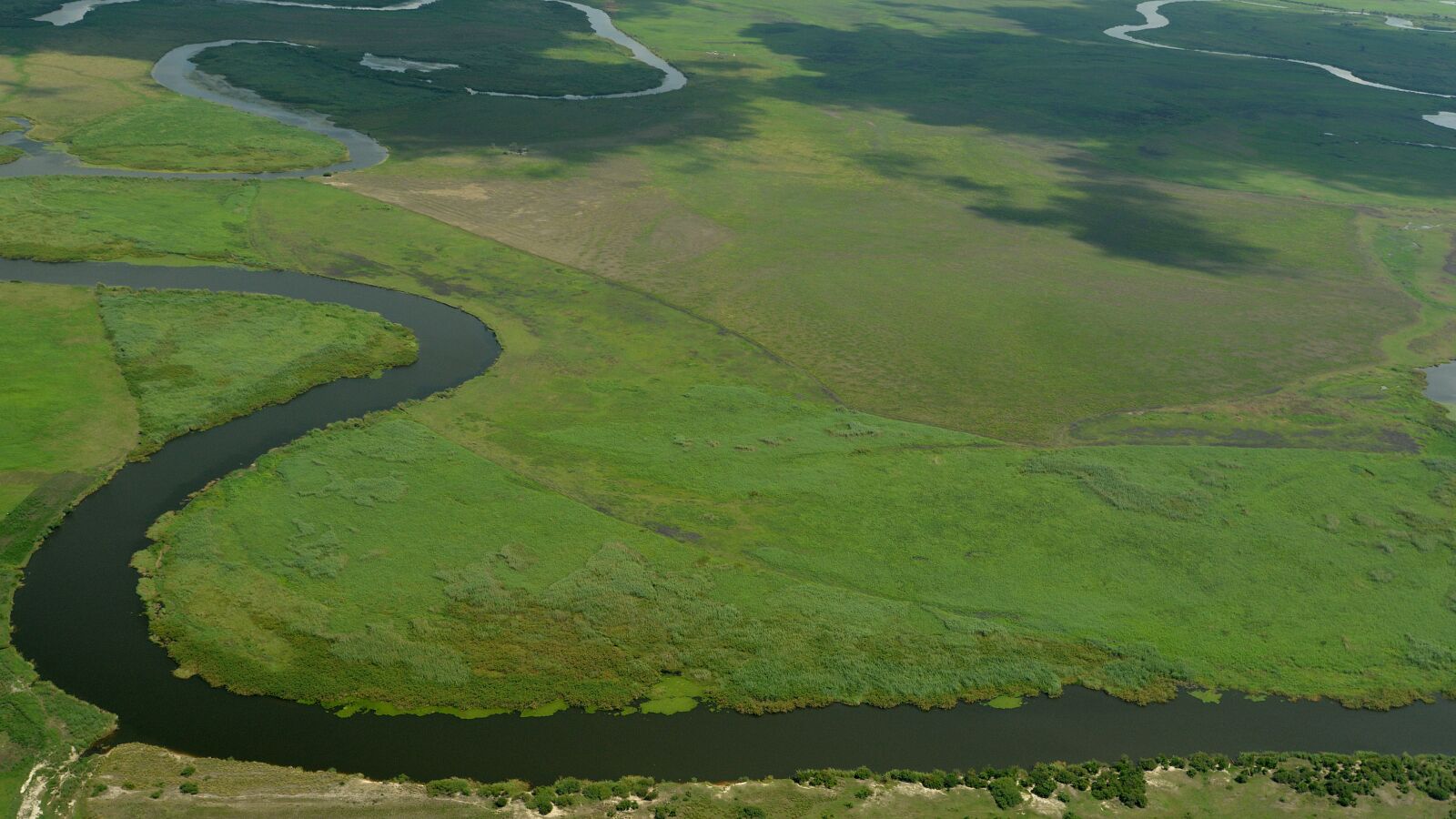 Nikon D800 sample photo. Botswana, africa, okavango delta photography