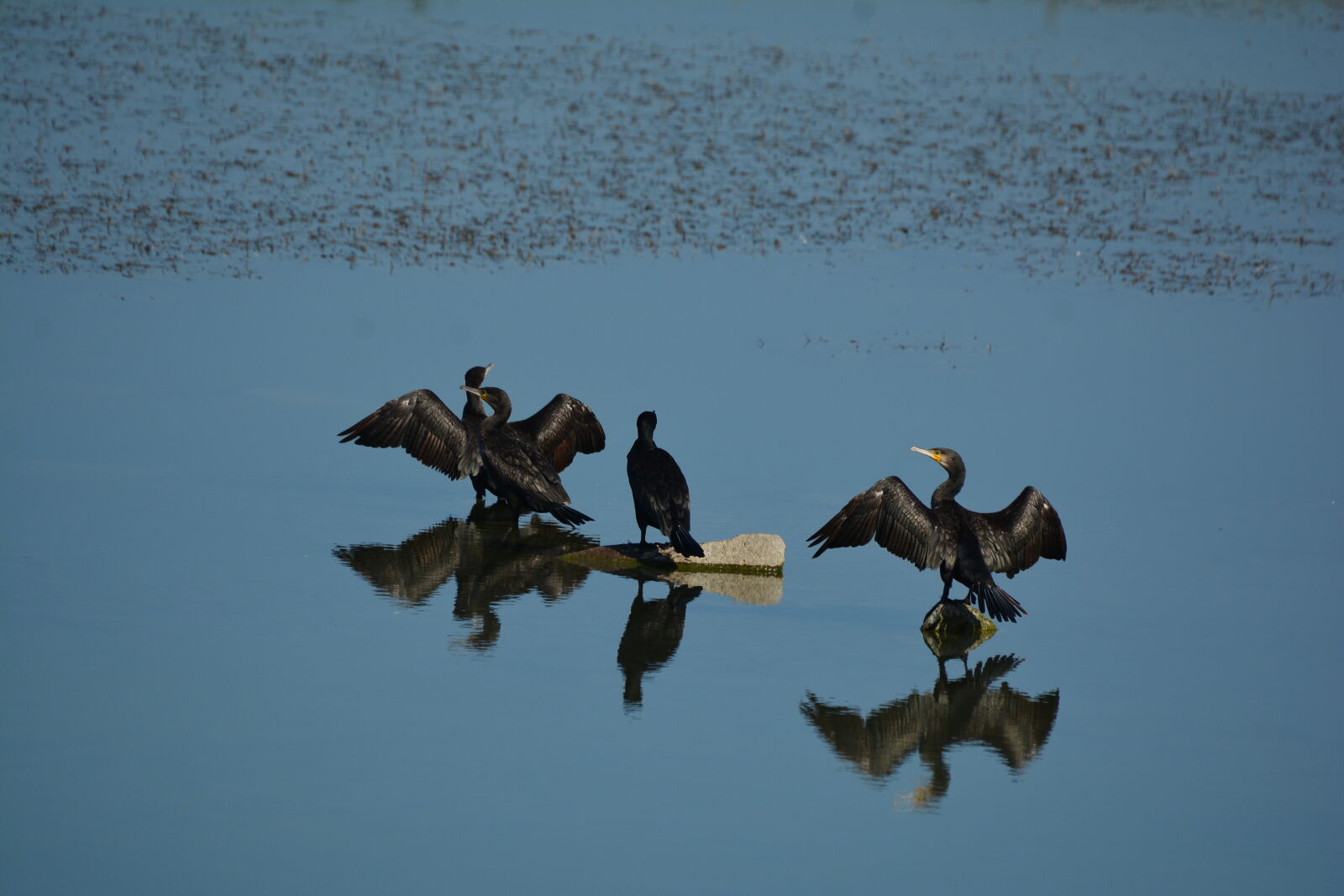 Nikon D7100 sample photo