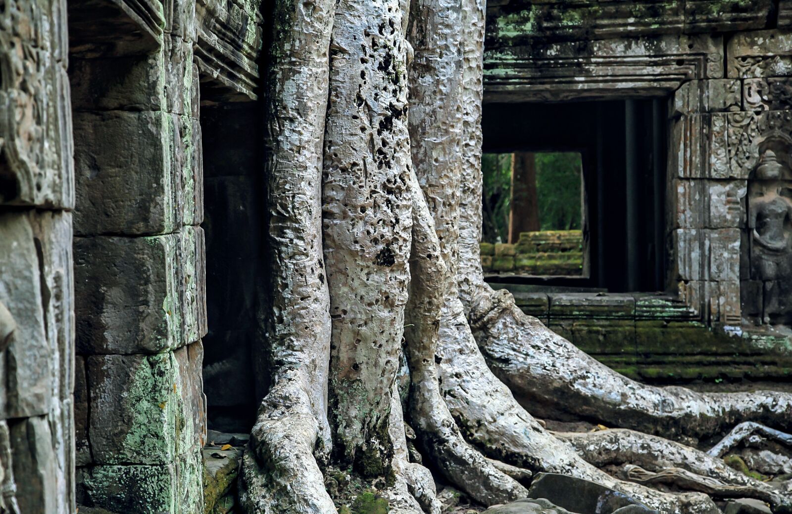 Canon EOS 5D Mark II sample photo. Angkor wat, campo asia photography