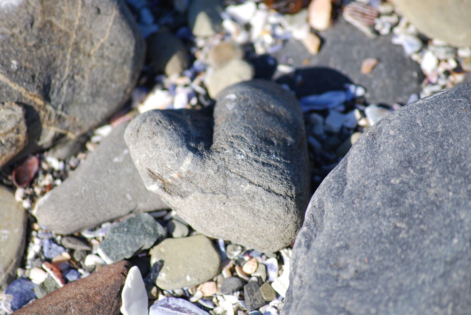 Nikon D60 sample photo. Heart, stone, sea photography