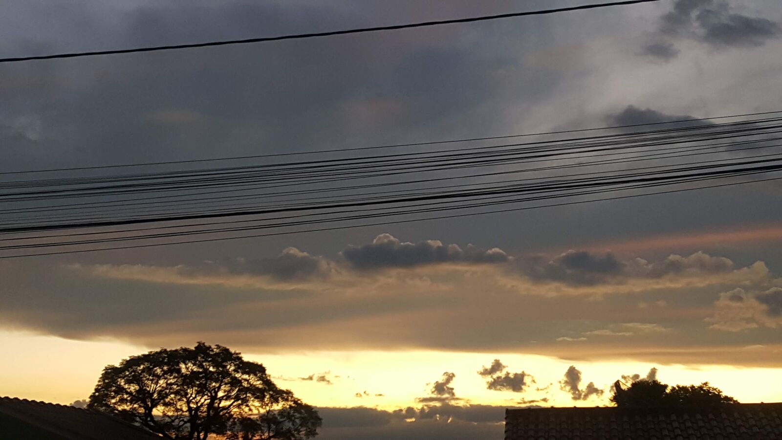 Samsung GALAXY S6 edge sample photo. Afternoon, vine, sunset photography