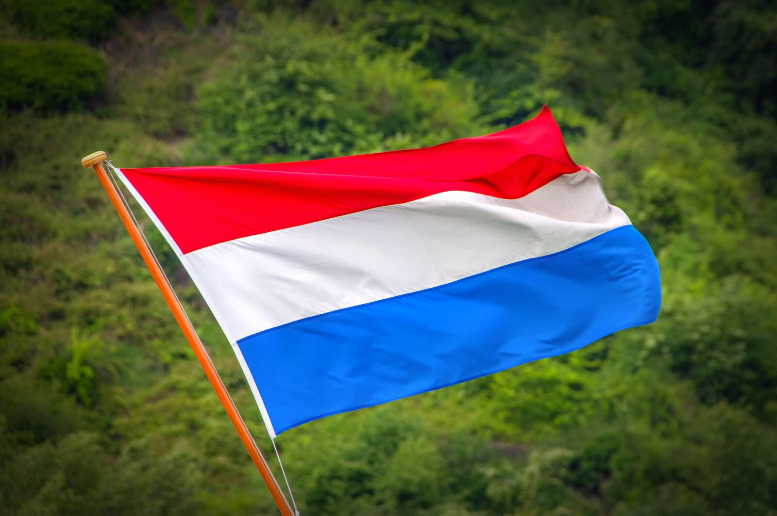 Canon EOS 60D sample photo. Flag, netherlands, holland photography