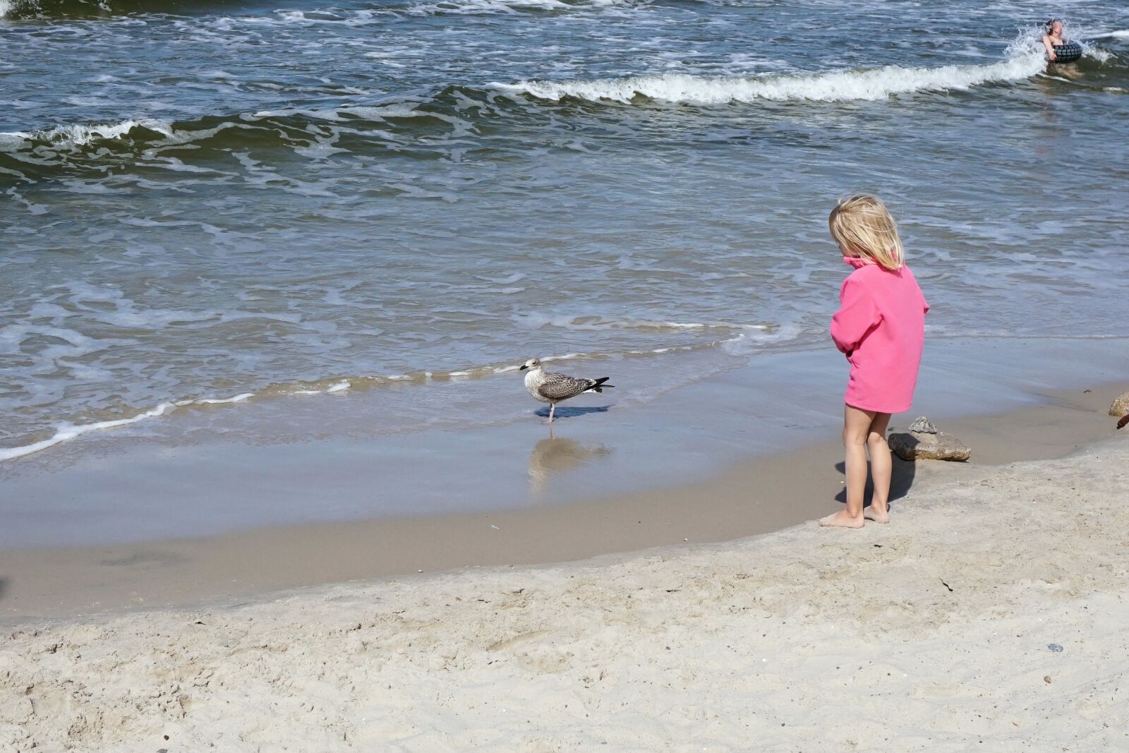 Sony a6000 sample photo. Child, seagull, beach photography