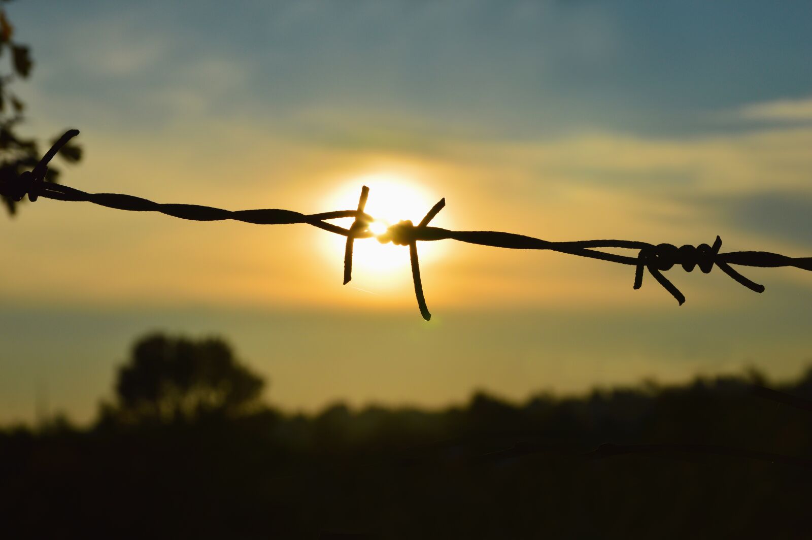 Nikon D3200 sample photo. Caught, captivity, liberation photography