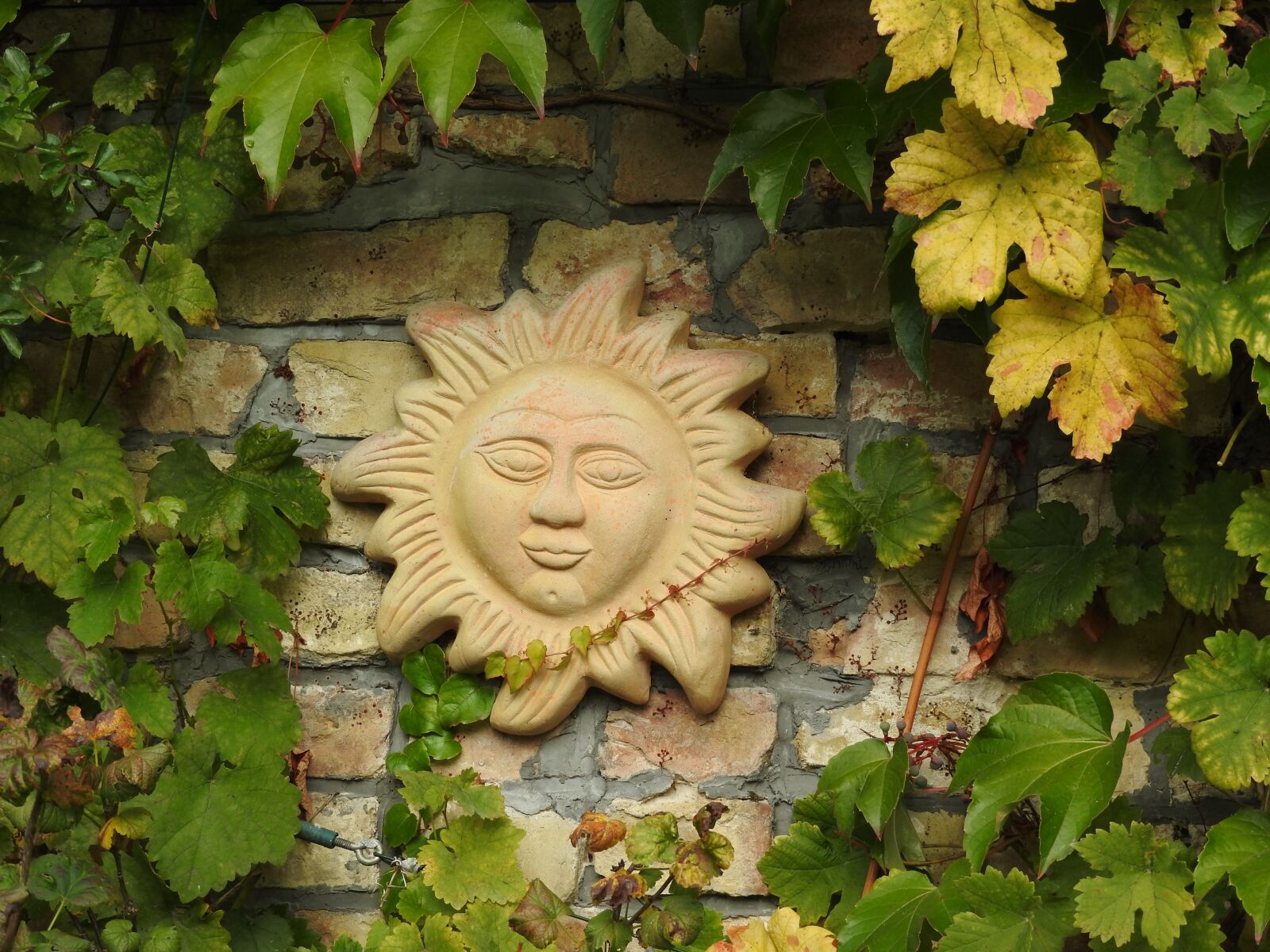 Nikon Coolpix P610 sample photo. Sun, sun symbol, leaves photography