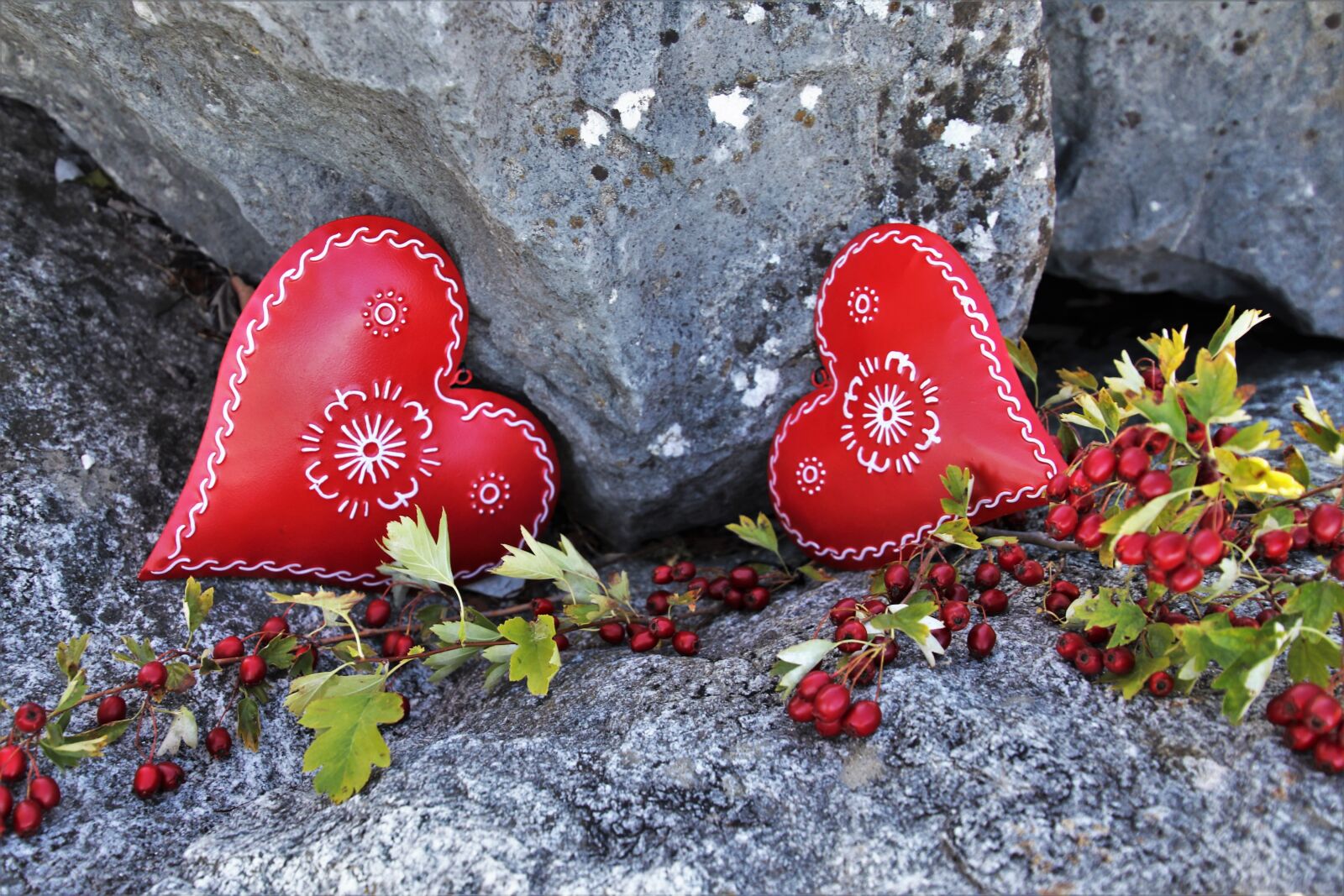 Canon EOS 80D sample photo. Red, heart, feeling photography