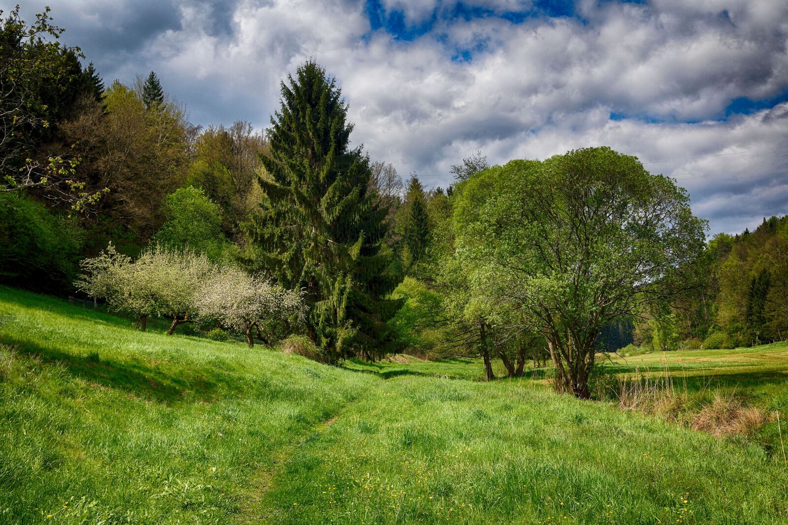 Nikon D5300 sample photo. Spring, green, hdr photography