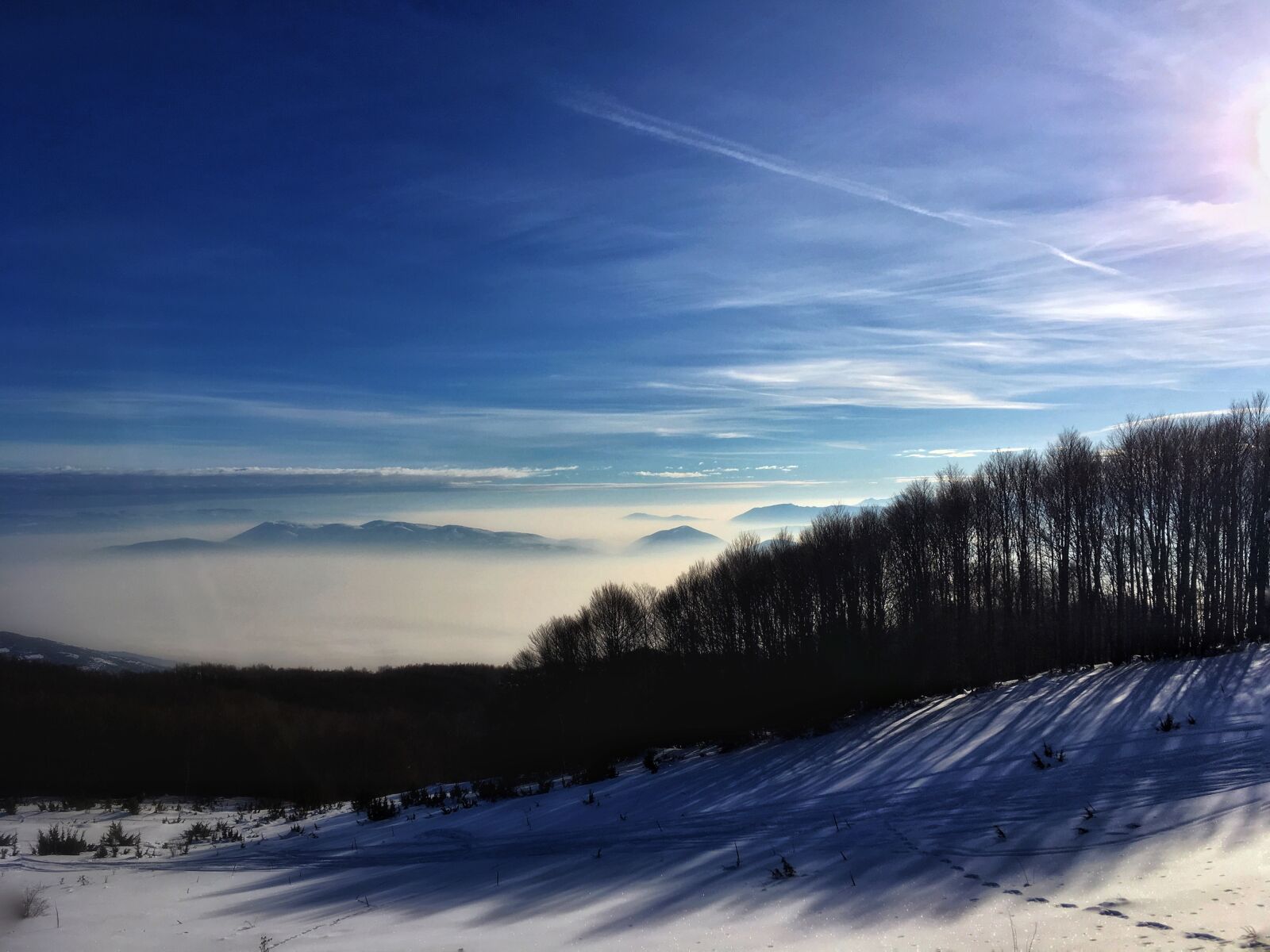 iPhone SE back camera 4.15mm f/2.2 sample photo. Snow, sky, winter photography