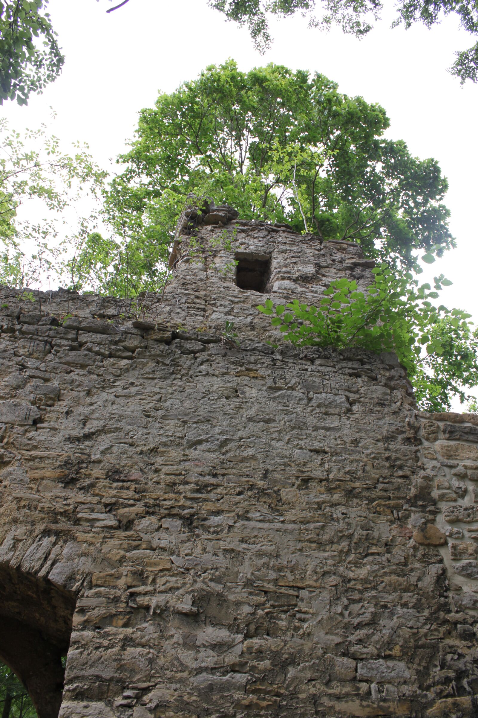 Canon EOS 500D (EOS Rebel T1i / EOS Kiss X3) sample photo. Castle, burgruine, look forestry photography