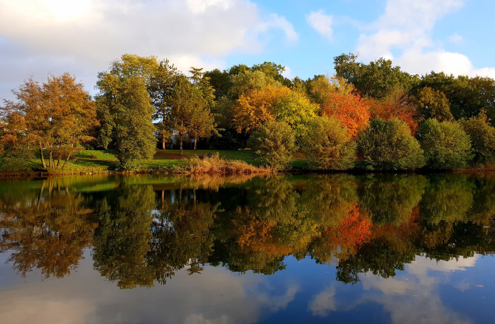 Samsung Galaxy S9 sample photo. Autumn, reflection, green photography
