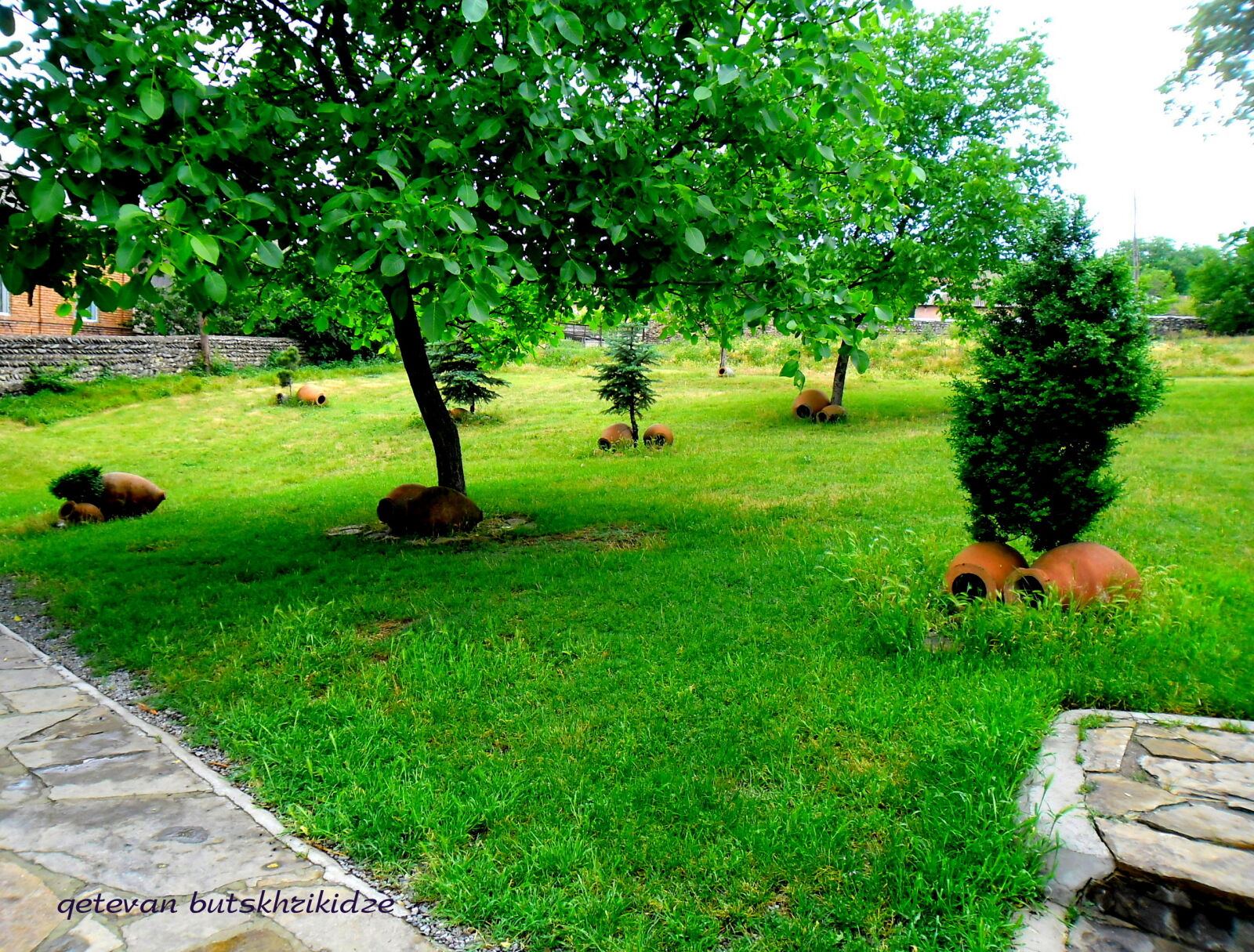 Samsung ES80/ ES81 sample photo. Green, nature photography