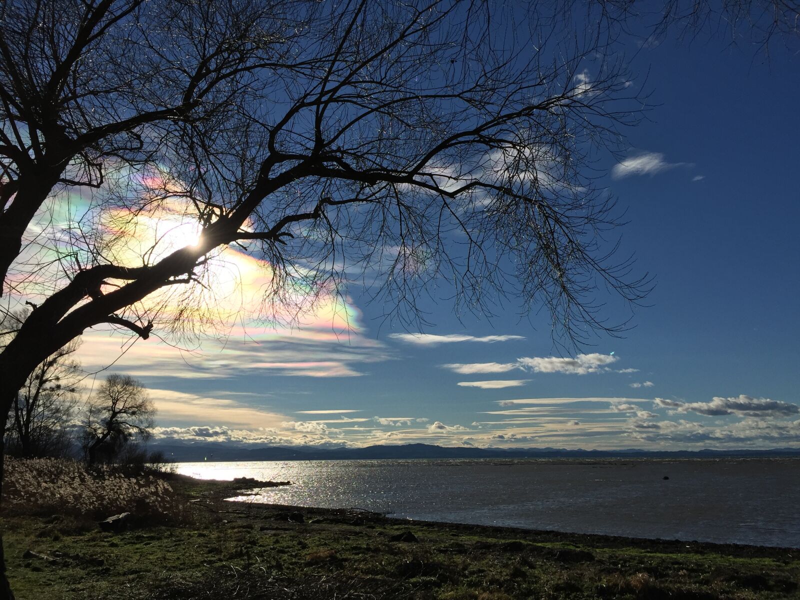 iPhone 6 Plus back camera 4.15mm f/2.2 sample photo. Lake, constance, bavaria photography