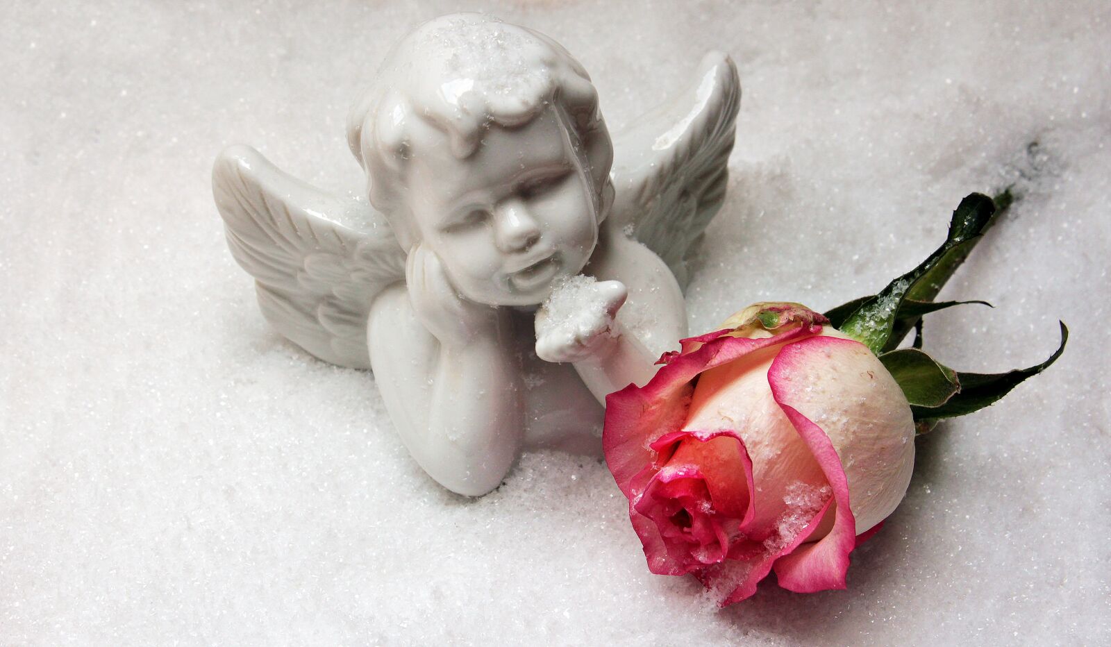 Canon EOS 550D (EOS Rebel T2i / EOS Kiss X4) sample photo. Angel, angel figure, rose photography