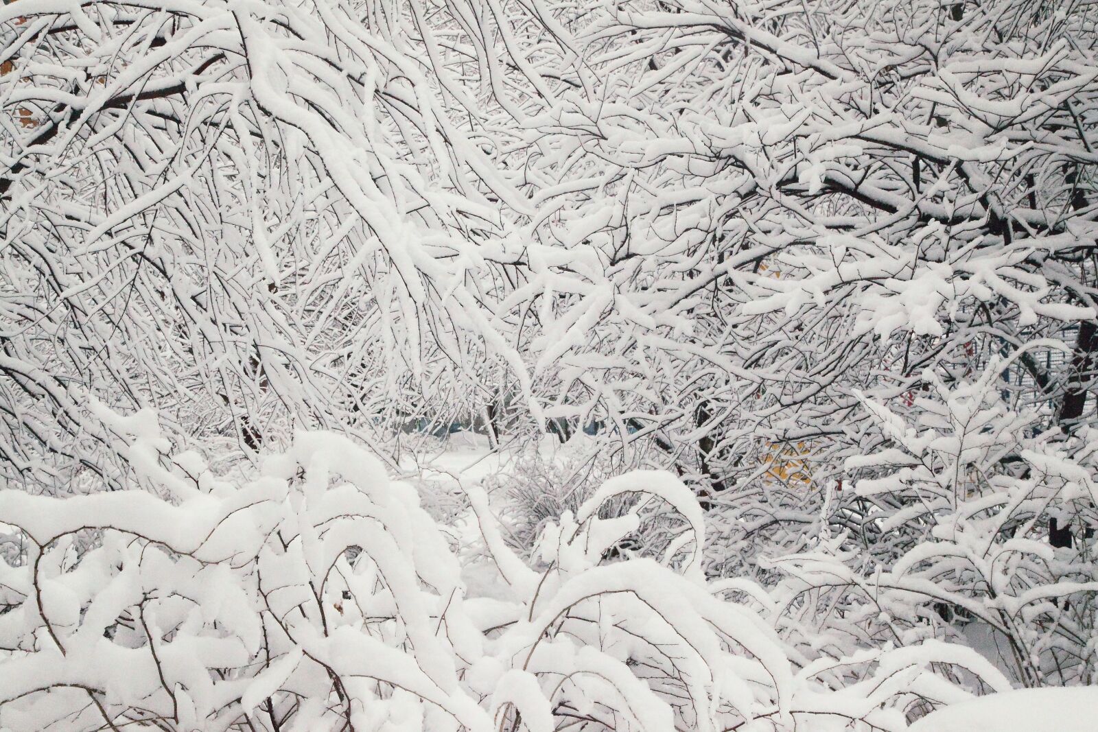 Canon EOS 5D Mark II sample photo. Russian winter, white snow photography