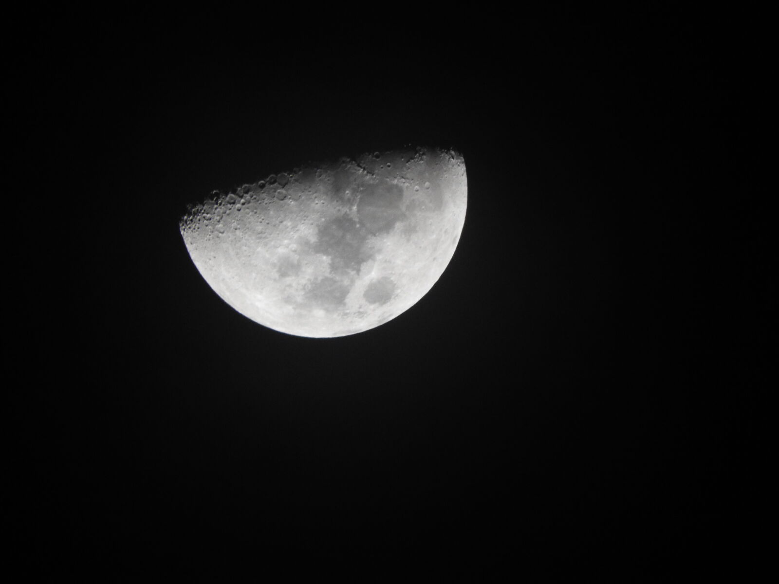 Nikon Coolpix P610 sample photo