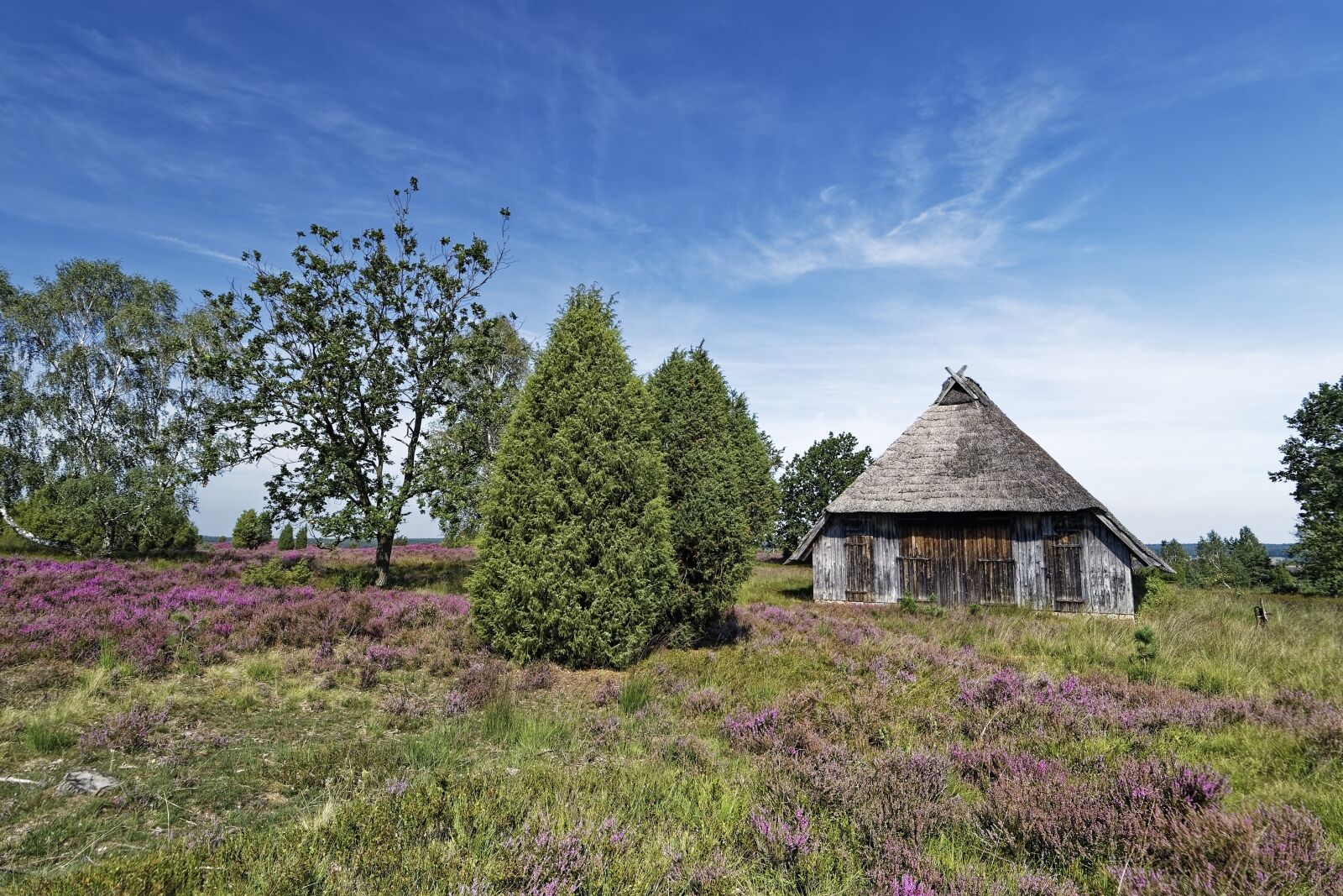 Nikon D500 sample photo. Germany, l neburg heath photography