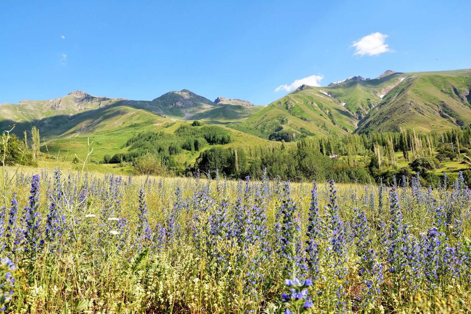 Nikon D7100 sample photo. Kaçkars, landscape, green photography