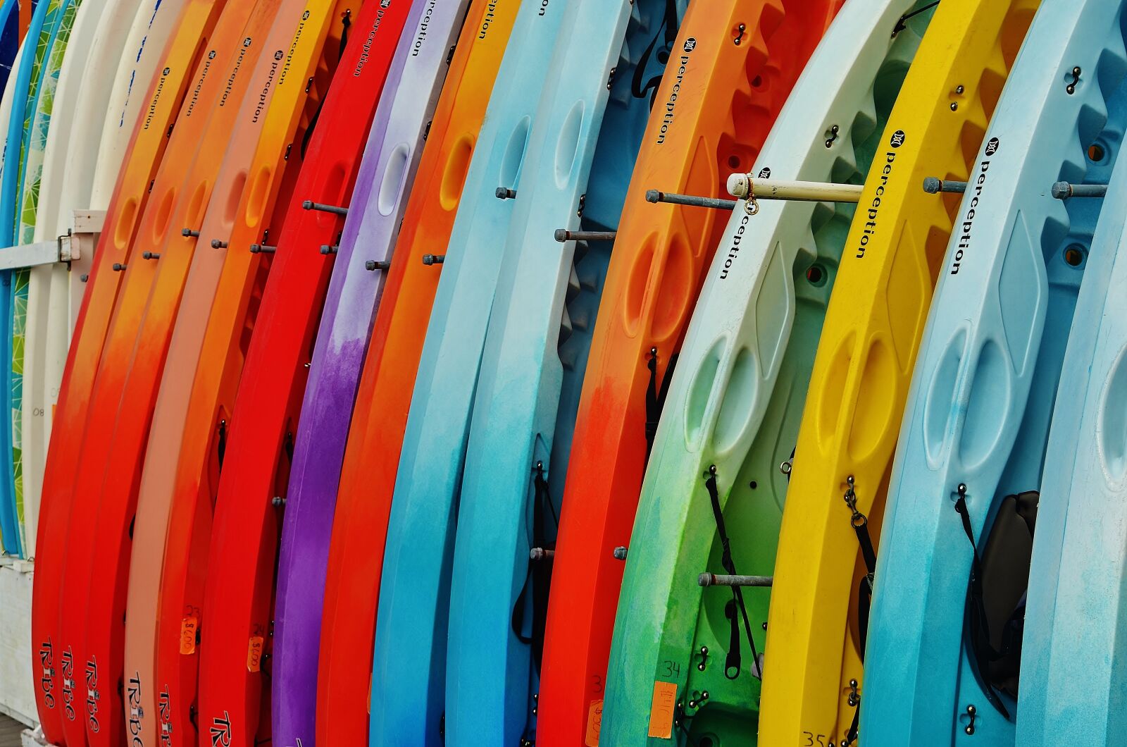 Nikon D5100 sample photo. Colors, paddle boards, activity photography