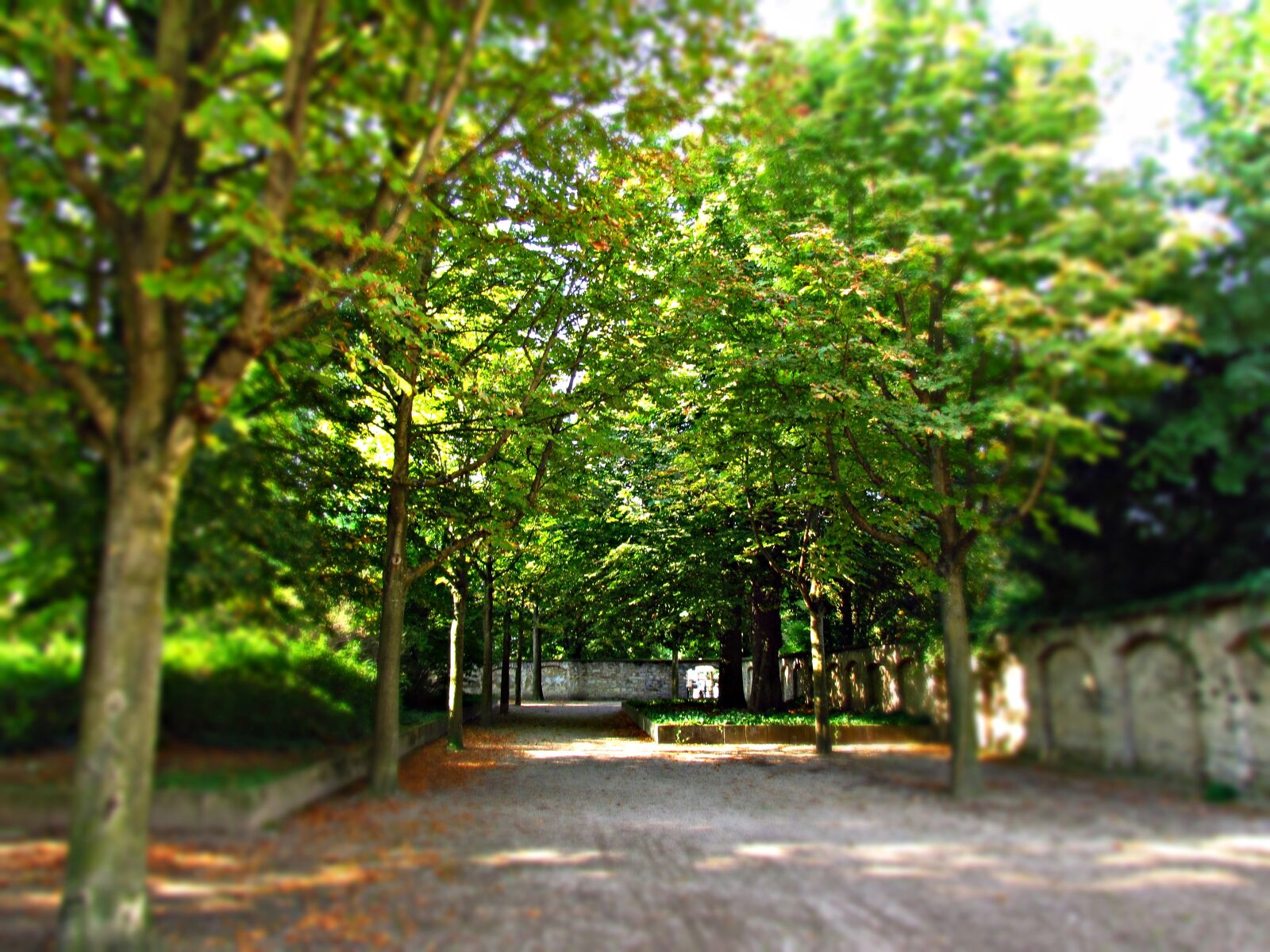 Canon PowerShot SX30 IS sample photo. Alley, park, nature photography
