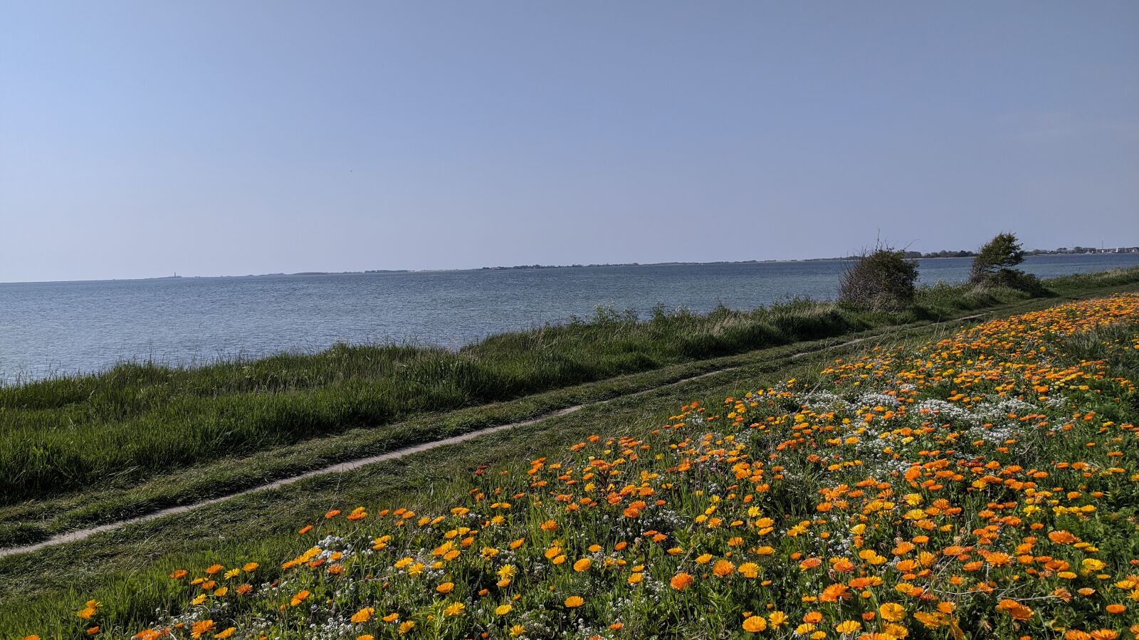 Xiaomi Redmi Note 8T sample photo. Fehmarn, coast, cycle path photography