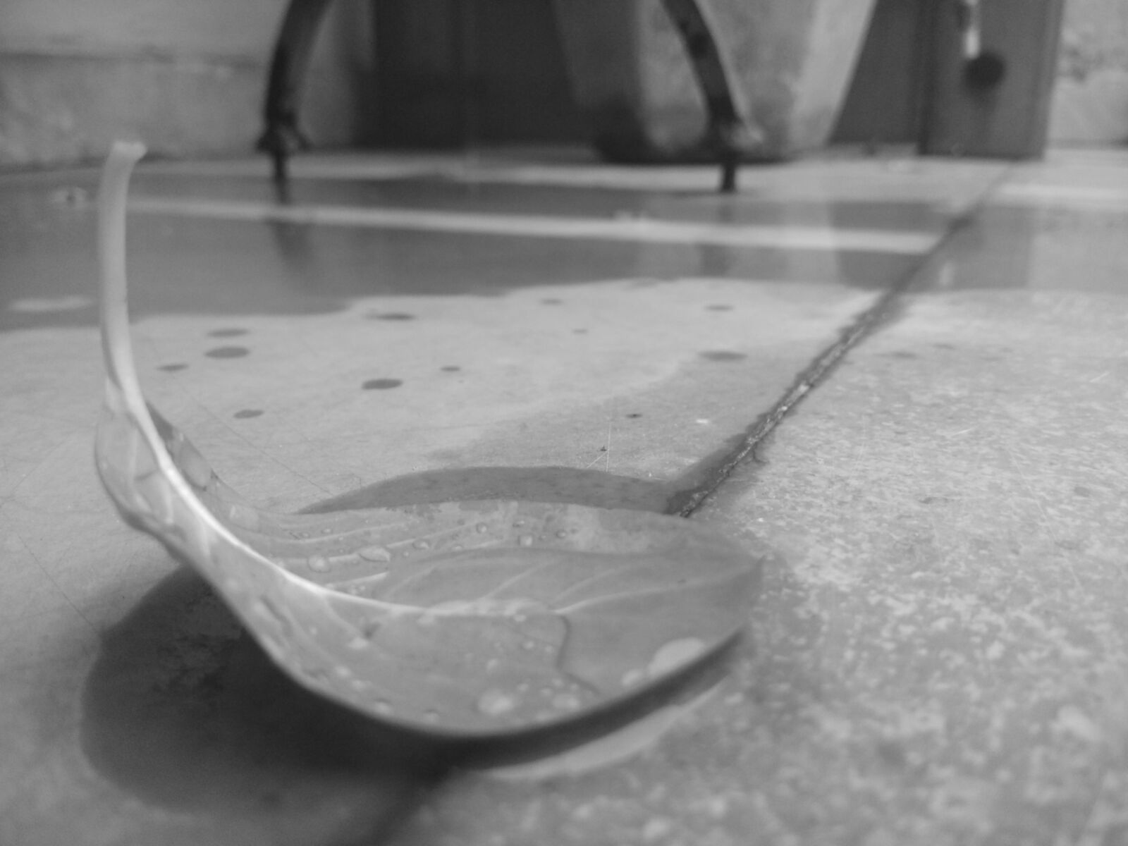Xiaomi Redmi Note 4 sample photo. Leaf, black white, rain photography