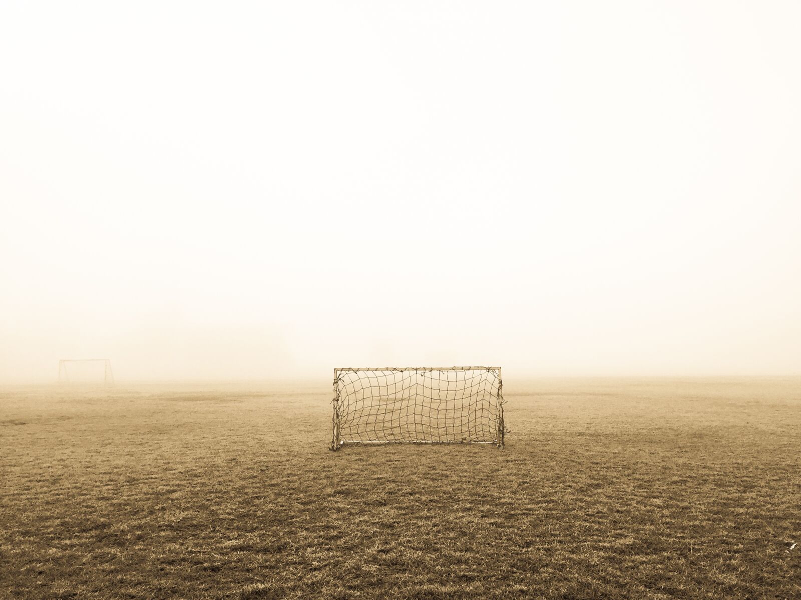 Apple iPhone 6 Plus sample photo. Deserted, field, fog photography