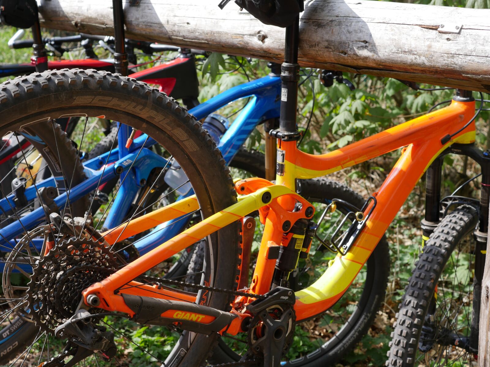 Panasonic Lumix DMC-GX8 sample photo. Mountain bike, rest, palatinate photography