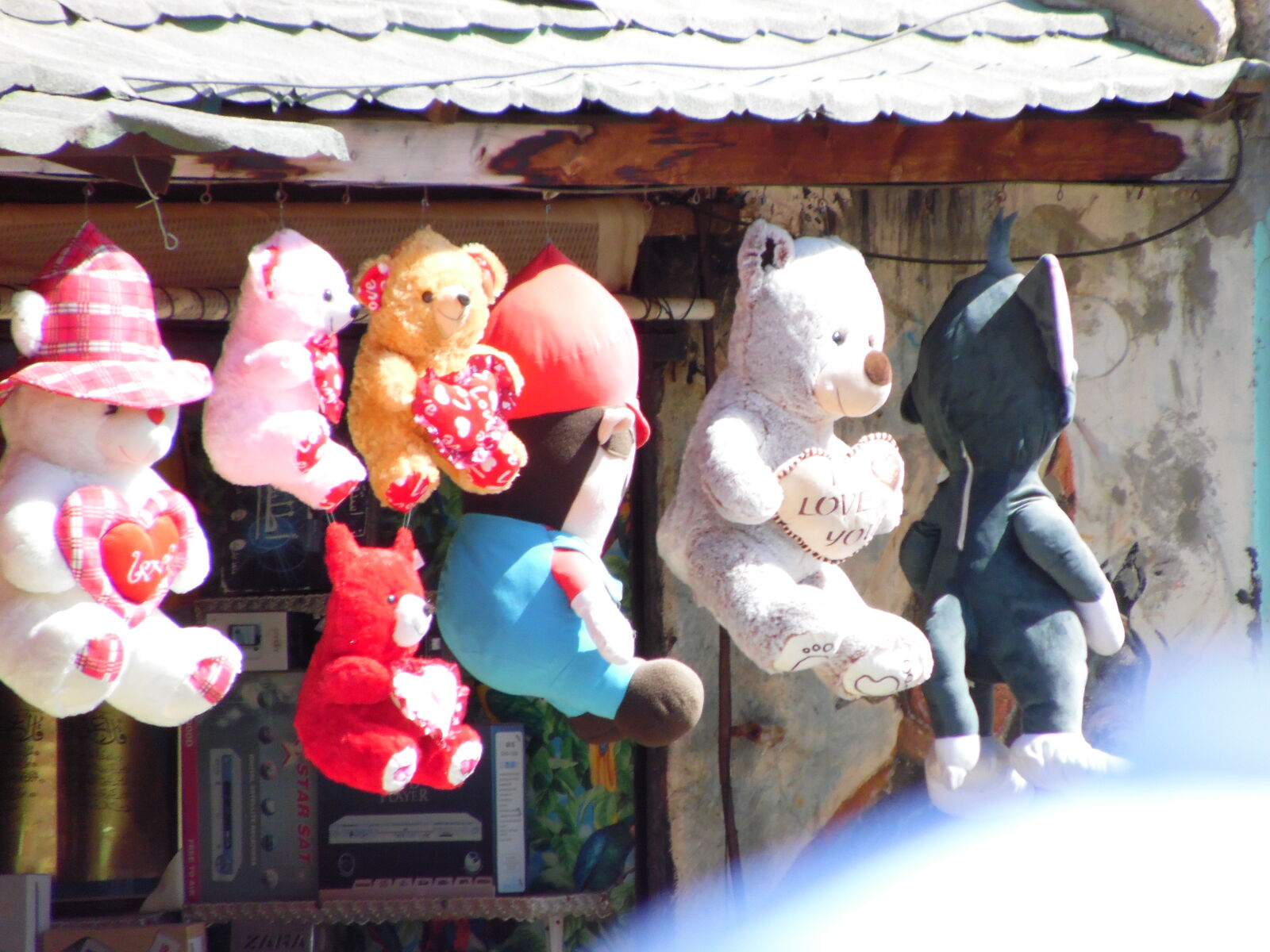 Samsung WB1100F/WB1101F/WB1102F sample photo