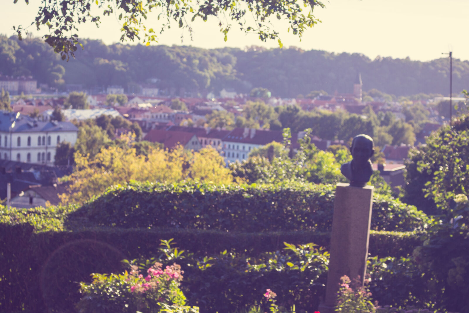 Canon EOS 700D (EOS Rebel T5i / EOS Kiss X7i) sample photo. Countryside, daylight, environment, flora photography