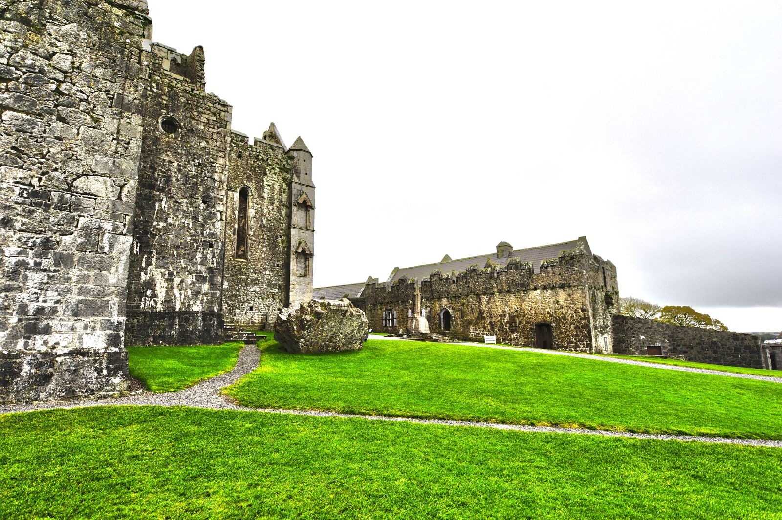 Nikon D700 sample photo. Ireland, castle, ruin photography