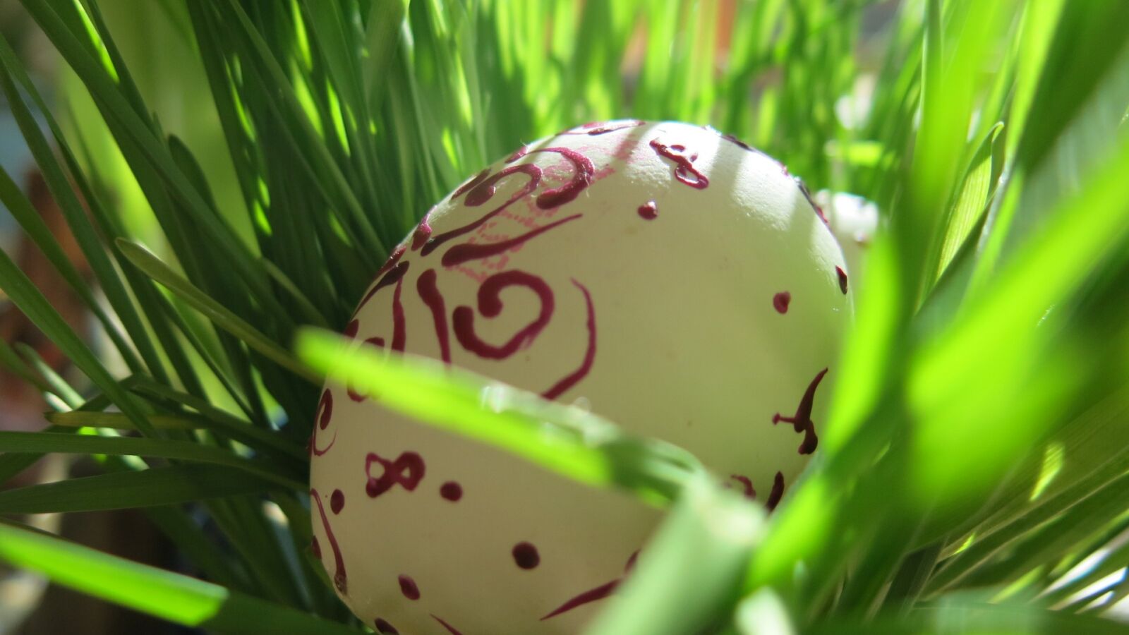 Canon PowerShot G15 sample photo. Spring, easter, eggs photography