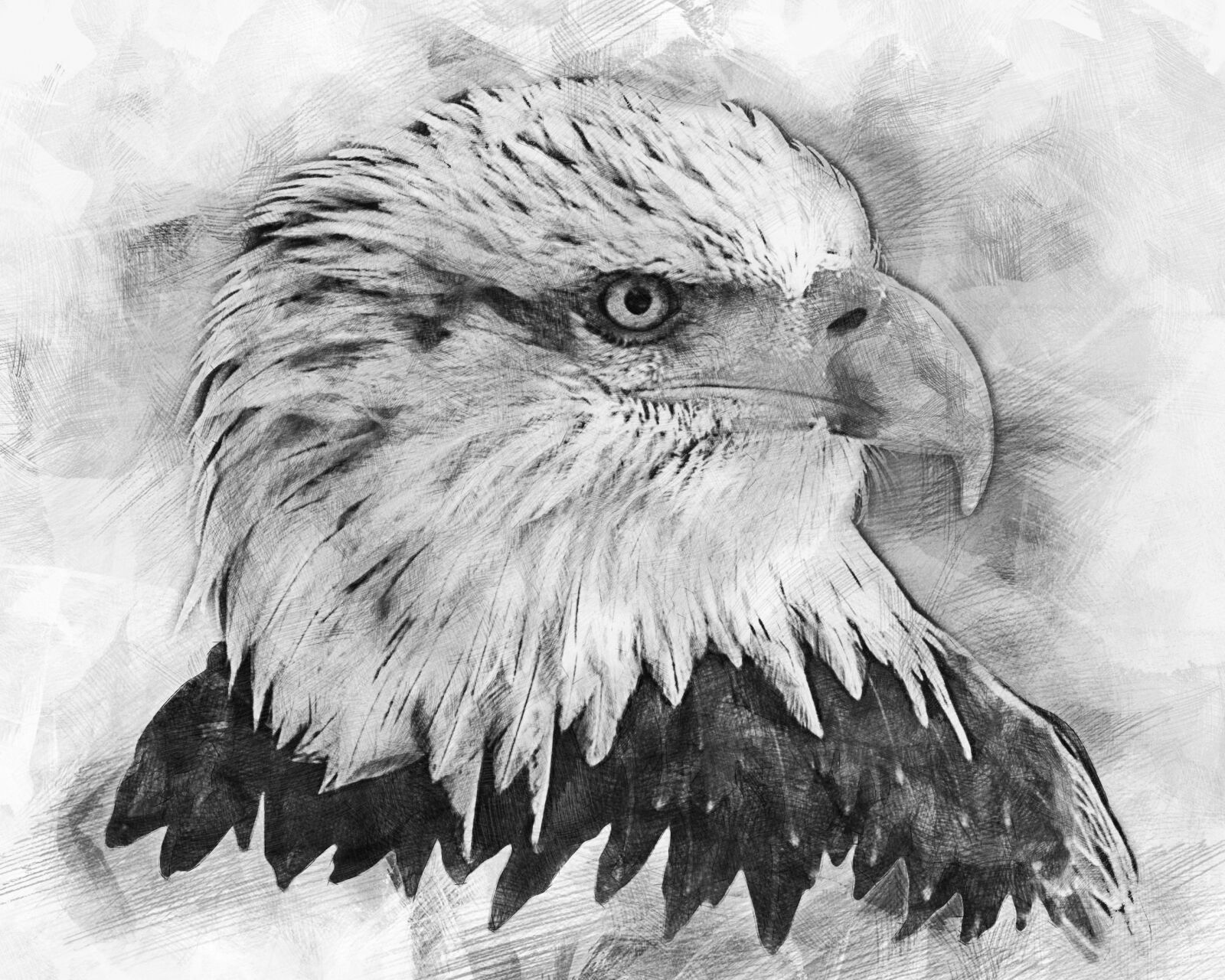Nikon D300 sample photo. Bald eagles, bald eagle photography