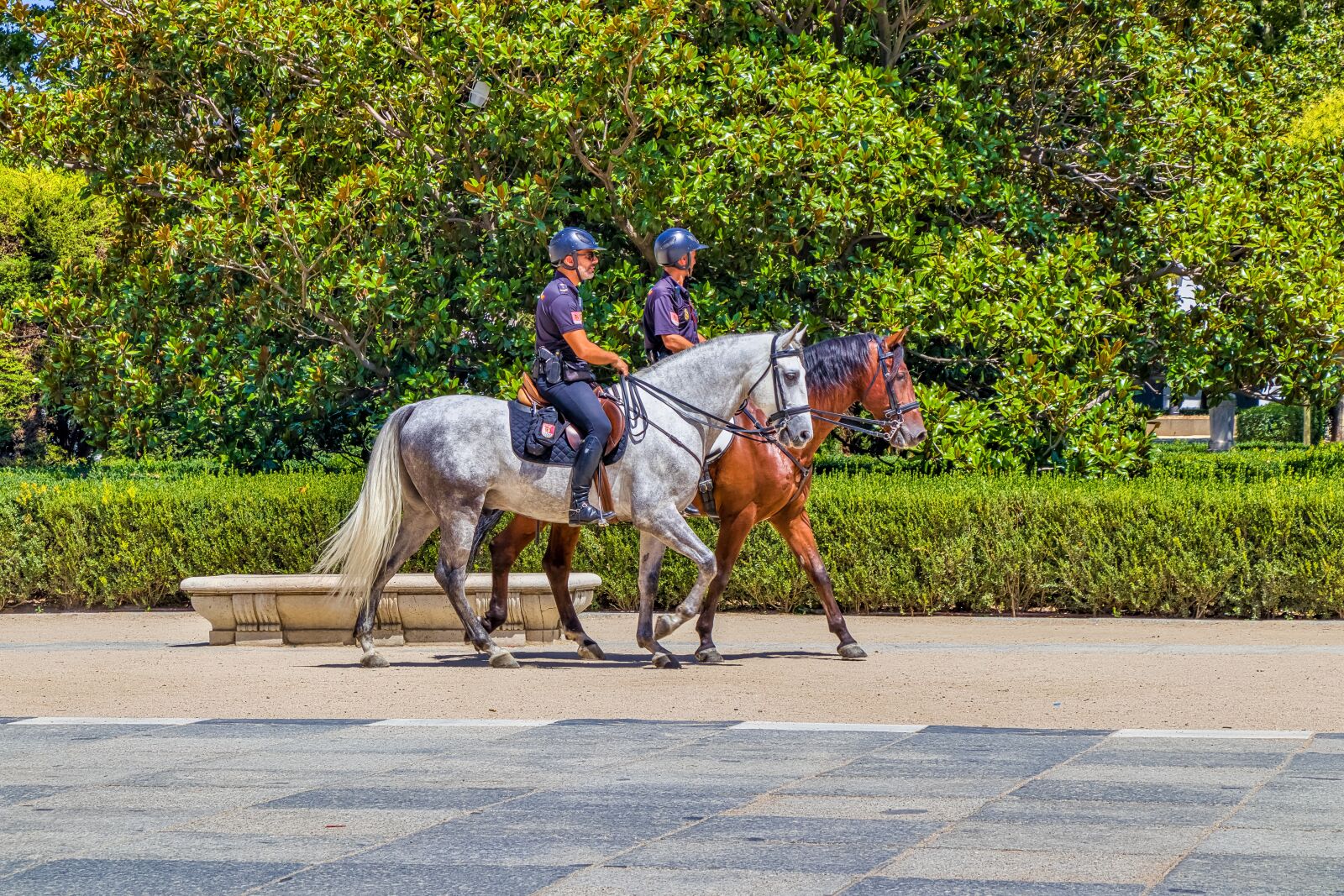 Canon EF-S 18-135mm F3.5-5.6 IS USM sample photo. Spain, the police, city photography