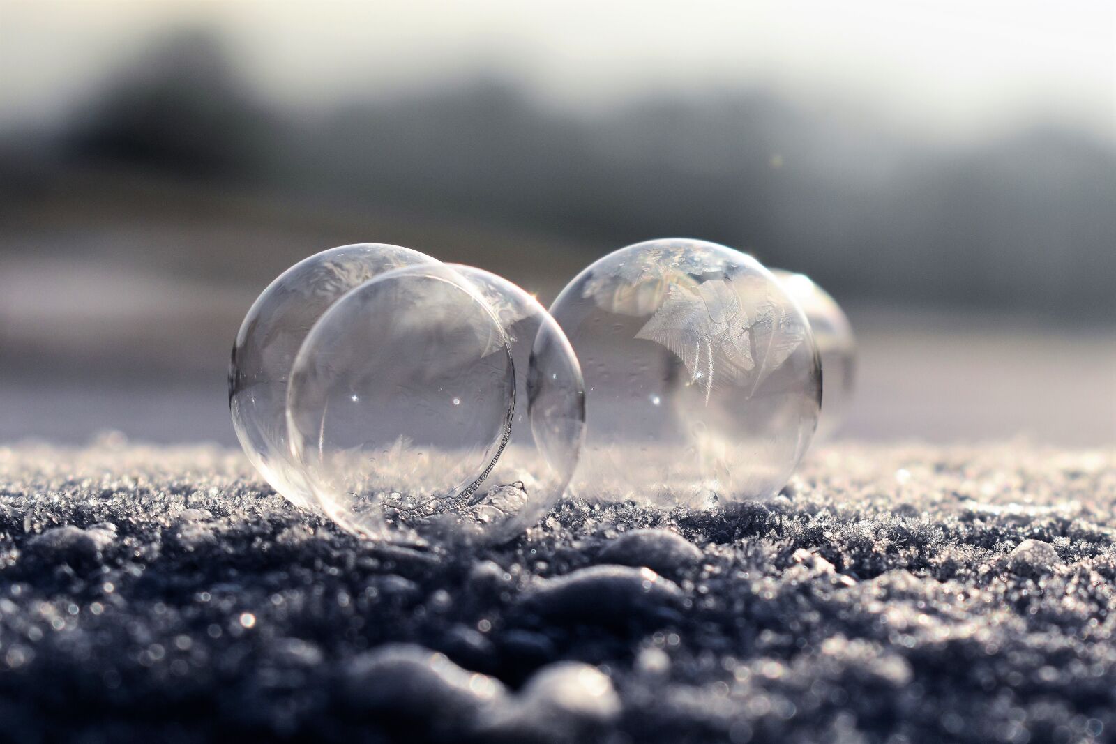 Nikon D5500 sample photo. Soap bubble, frozen, frozen photography
