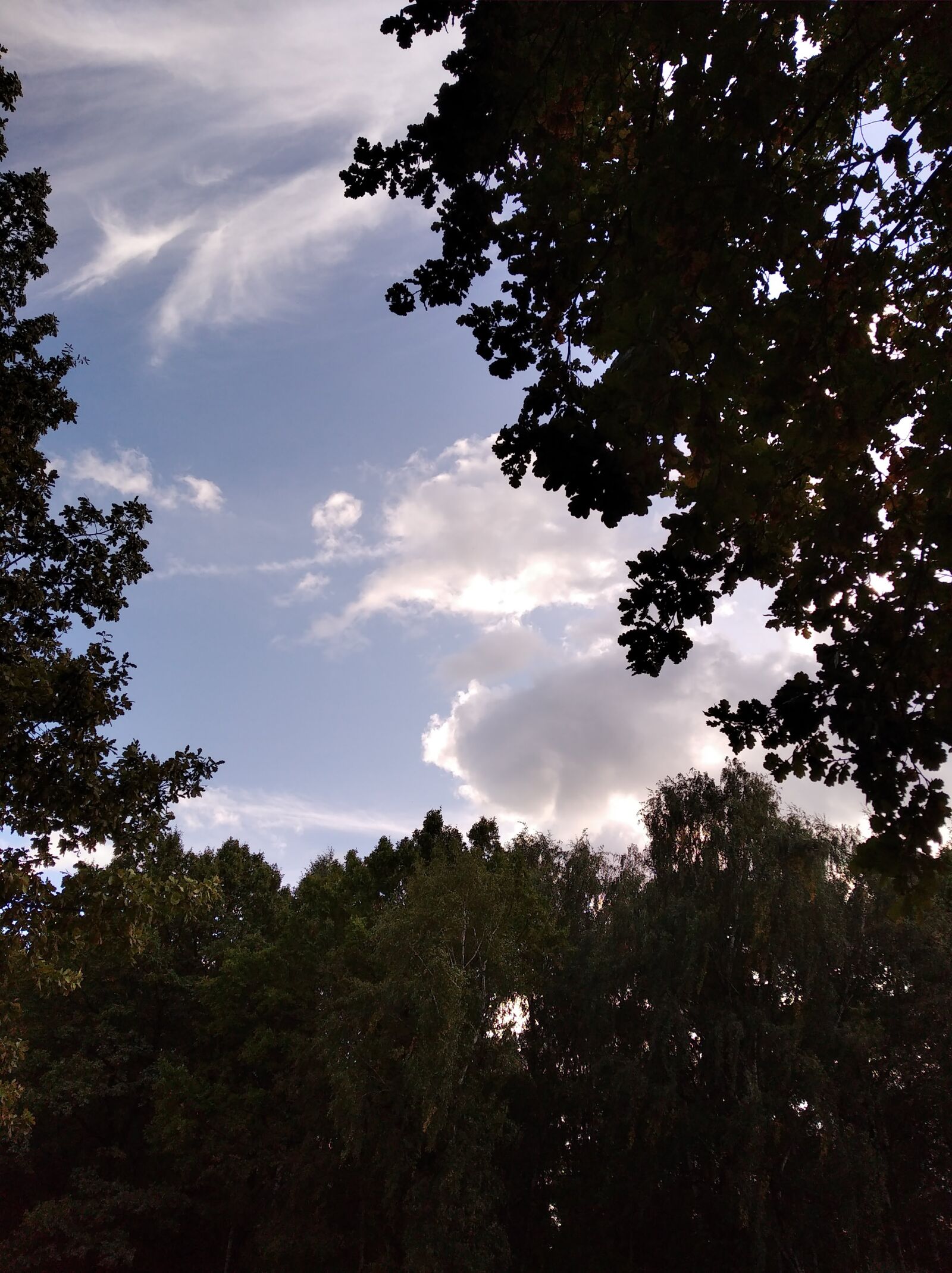 Xiaomi Redmi 7A sample photo. облака, природа, небо photography