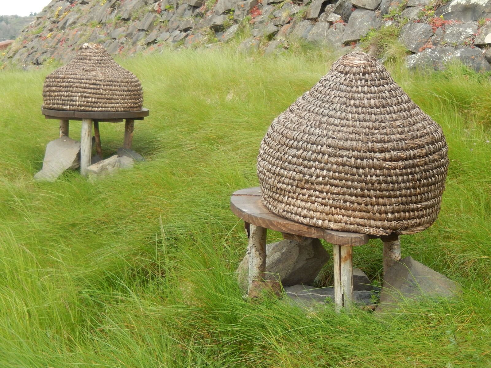 Nikon Coolpix S9500 sample photo. Hives, field, former photography
